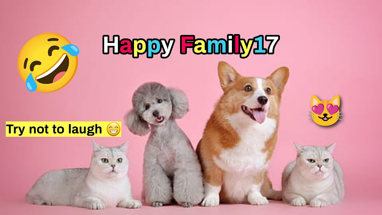 New funny Animals 😁 Funniest Cats and Dogs Videos