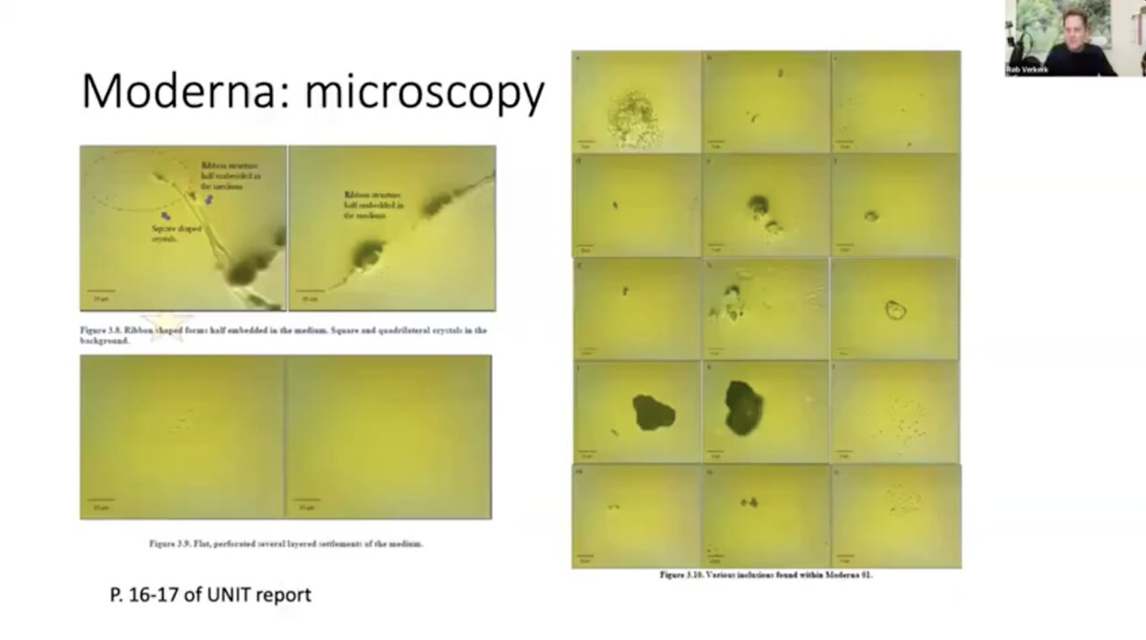 Dr. Rob Verkerk - Graphene and Nano Particles found in all vaccines