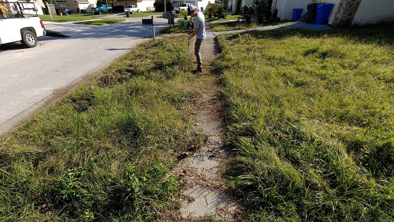 EMPTY Home is an EYESORE for the NEIGHBORHOOD so I turned it into the BEST looking lawn on the block