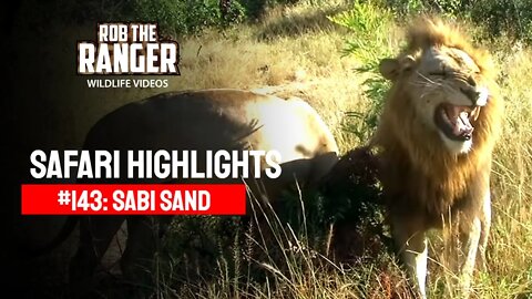 Safari Highlights #143: 06 & 10 - 13 May 2012 | Sabi Sand Nature Reserve | Latest Wildlife Sightings