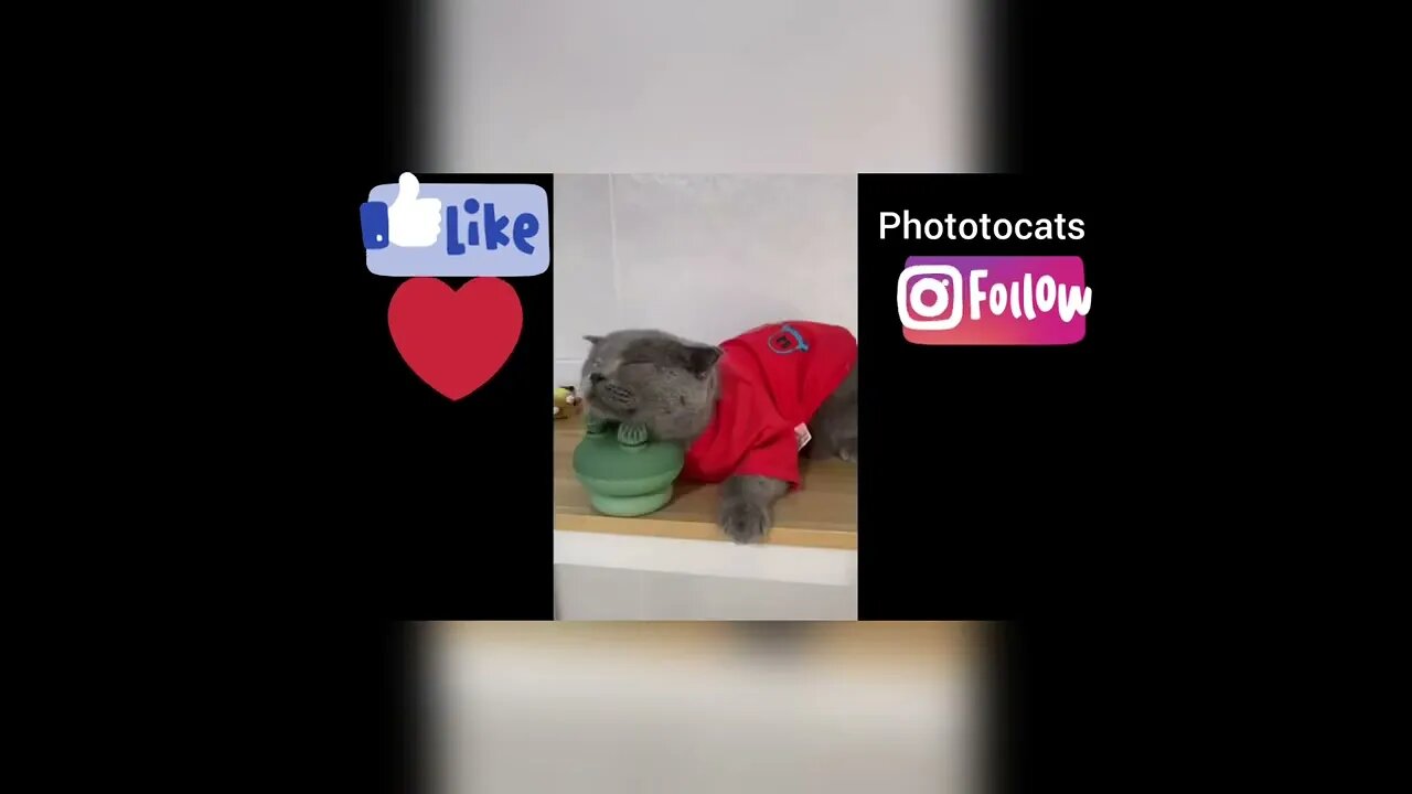 oh my god...
