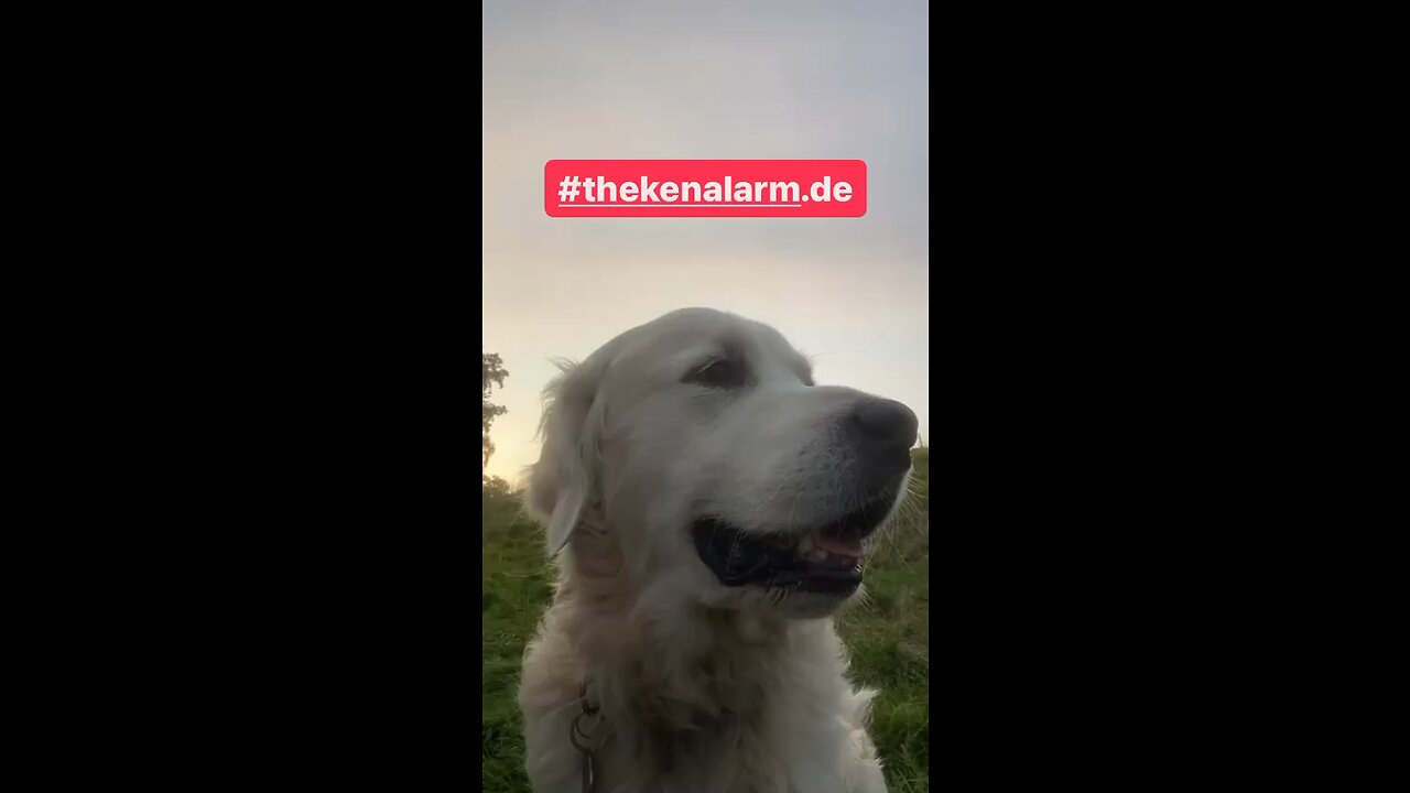 EINFACH NEIN