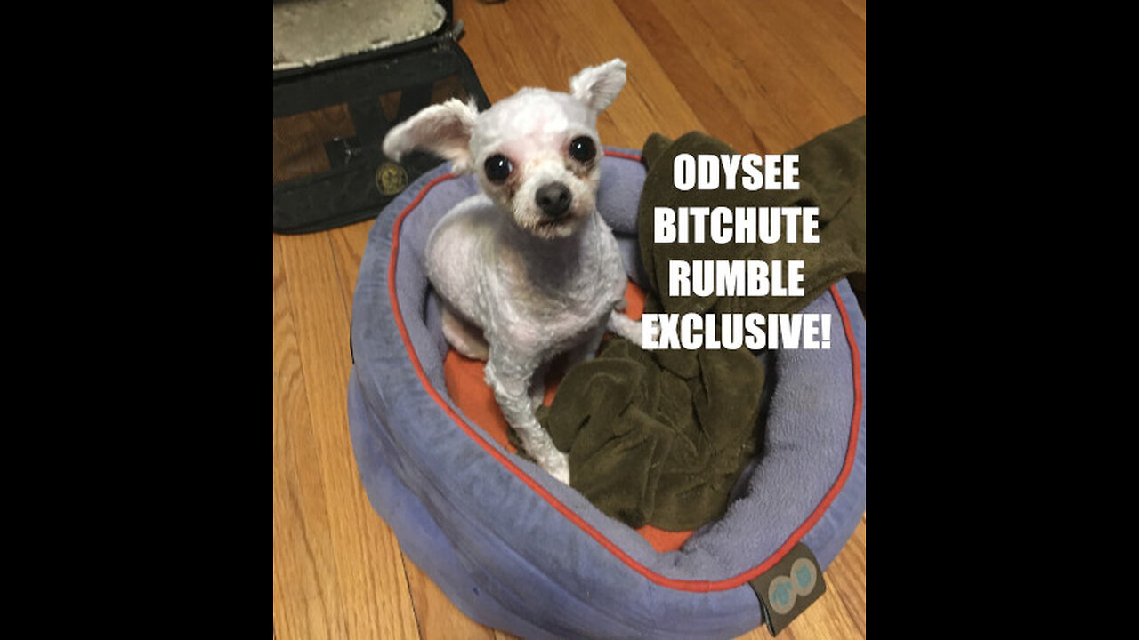 Odysee/Bitchute/Rumble Exclusive Hot Take News Blast! June 25th 2024