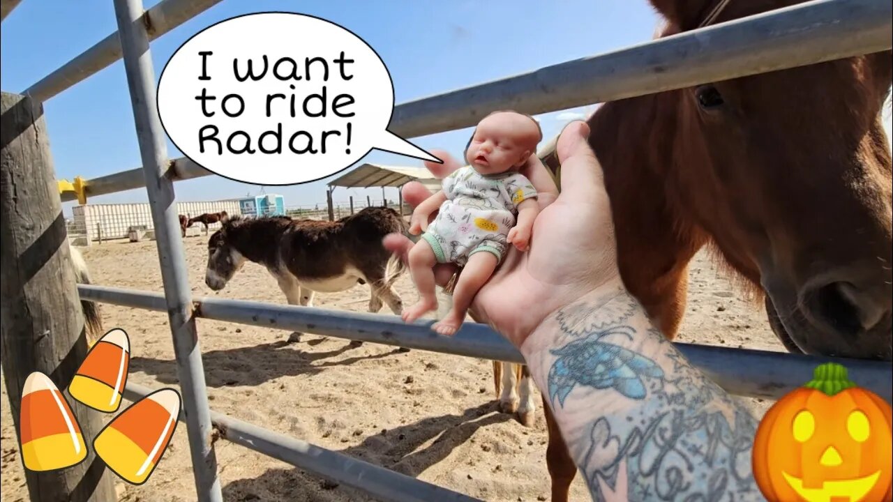 Farm Trip for Mini Silicone Baby| Did I get Bit by a Horse?! Changing Reborn Baby Doll| nlovewithr..