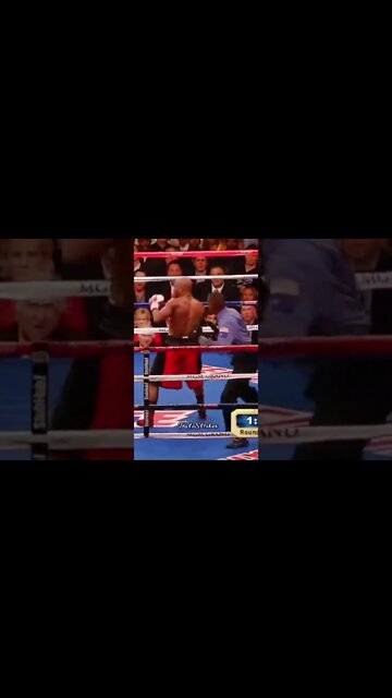 FLOYD MAYWEATHER GETS KNOCKED OUT