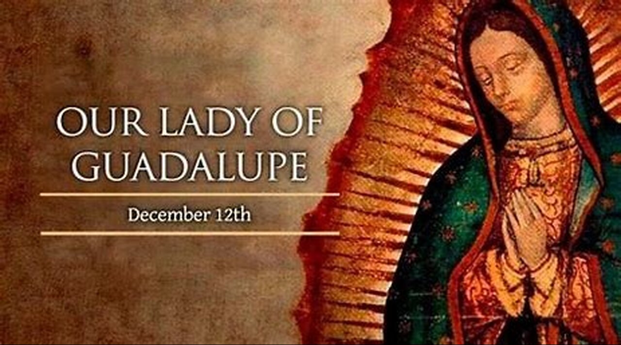 Session 13: 4 Marian Dogmas, Immaculate Conception, & Our Lady of Guadalupe