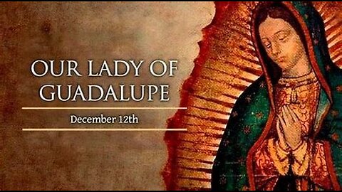 Session 13: 4 Marian Dogmas, Immaculate Conception, & Our Lady of Guadalupe