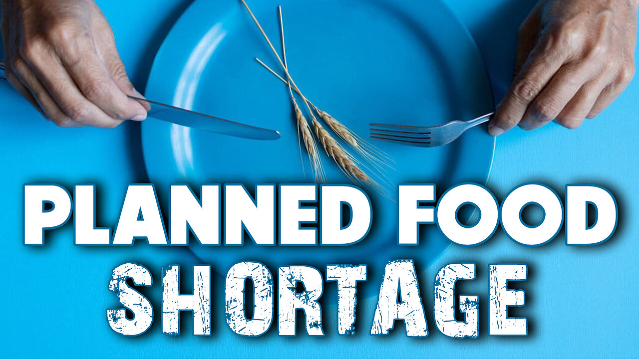 Planned Food Shortage 06/07/2024