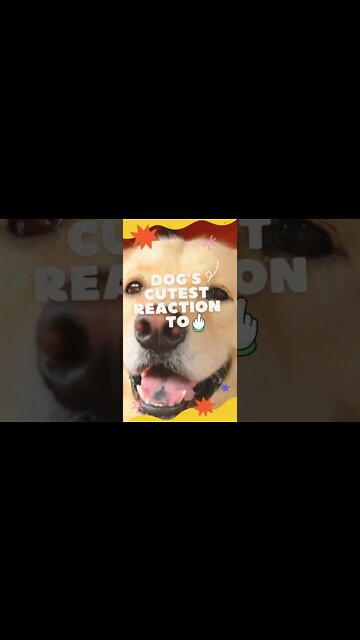 This is the cutest reaction I've ever found😍