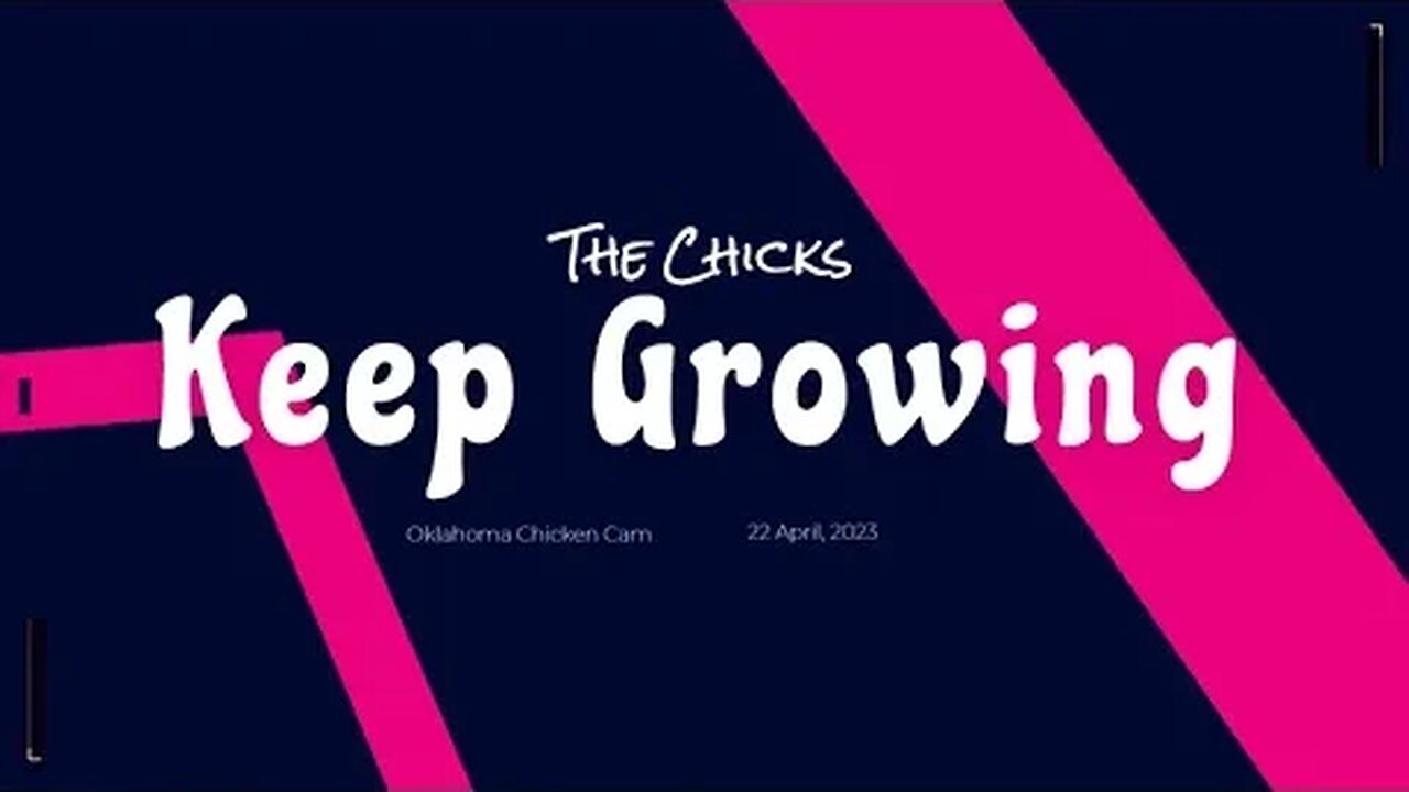 Chicks Keep on Growing