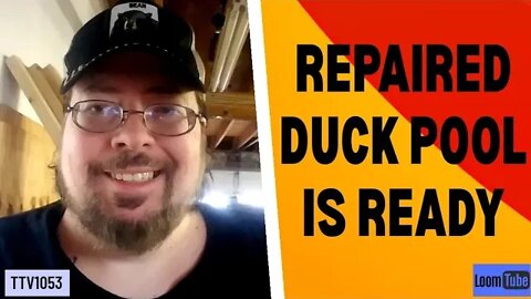 REPAIRED DUCK COOP IS READY - 110920 TTV1053