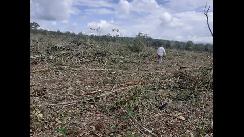 Fazenda para soja mato grosso 2669 hectares proximo a sorriso MT