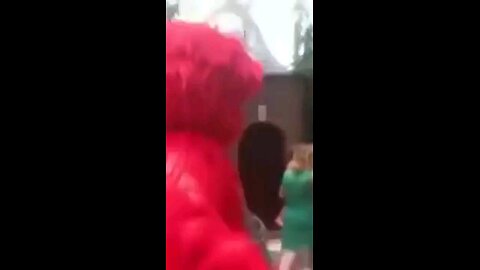 BASED elmo