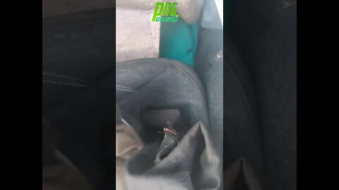 Cemitério Dos Sofás [de novo] 3 #shorts