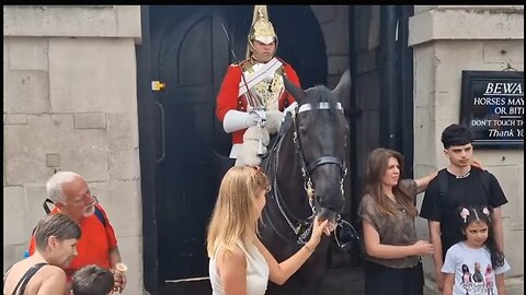 Horse so friendly she puts her fingers in its mouth #horseguardsparade