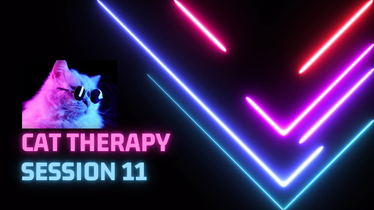 Funniest cats of 2022 | free cat therapy | session #011