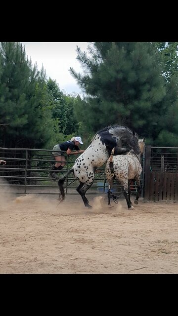 Satisfied & Smiling ☺