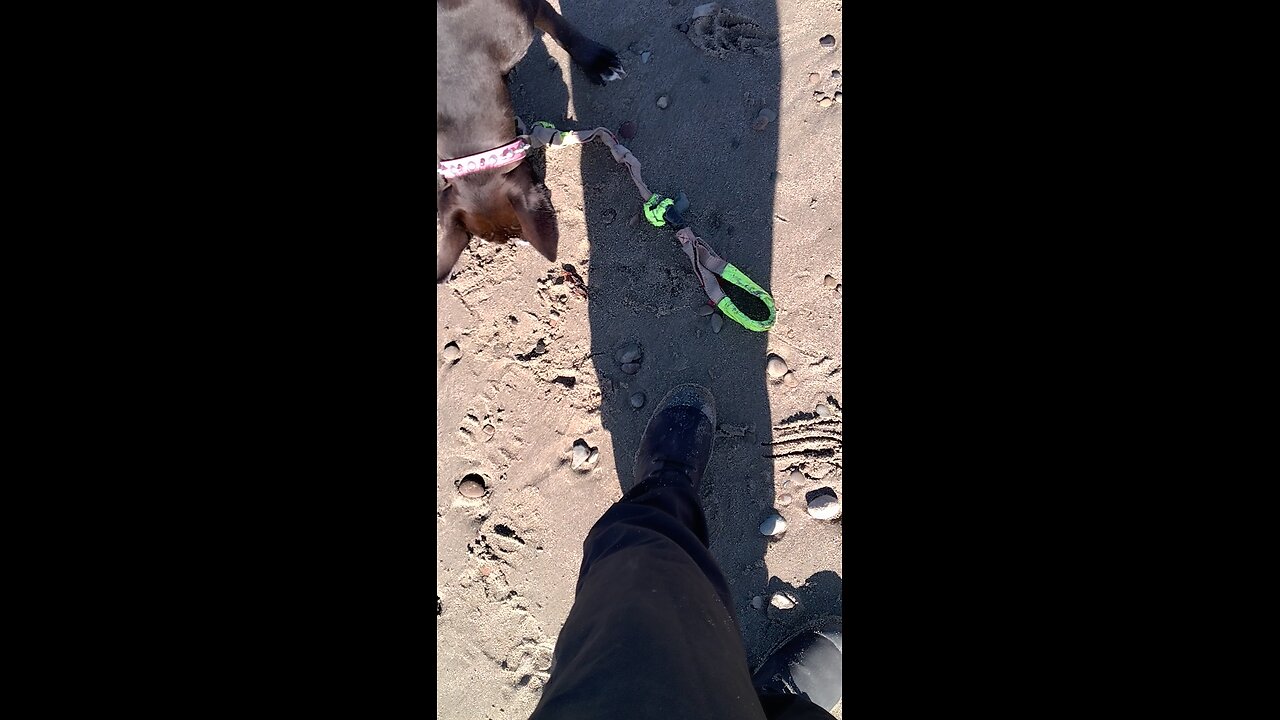 Lord's Prayer SANTA CRUZ CALIFORNIA USA FREEDOM TIME w Lil Buddy the Puppy Dog