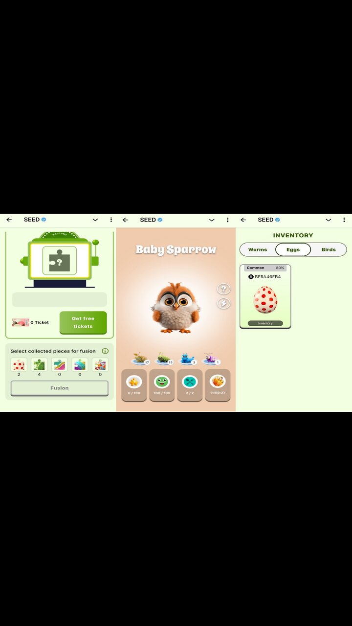 SEED Combinator | How To Collect Eggs And Bird Hunt | Collecting More $SEED | Telegram Crypto Bot