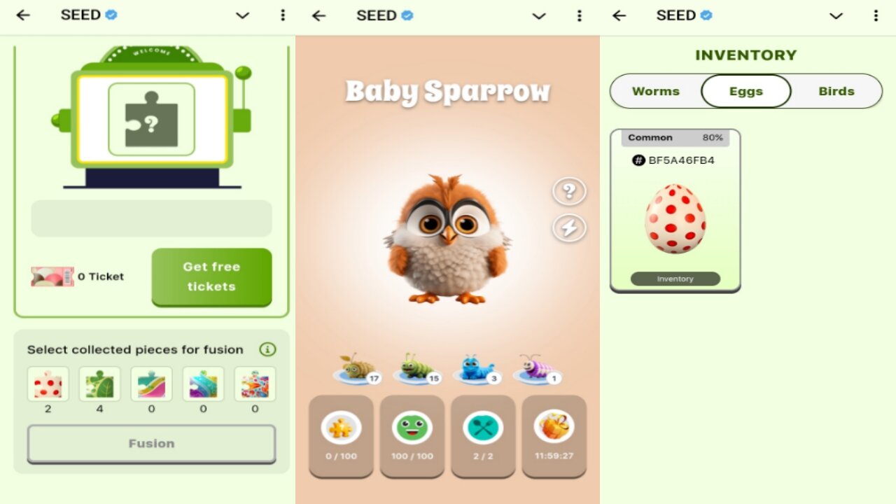 SEED Combinator | How To Collect Eggs And Bird Hunt | Collecting More $SEED | Telegram Crypto Bot