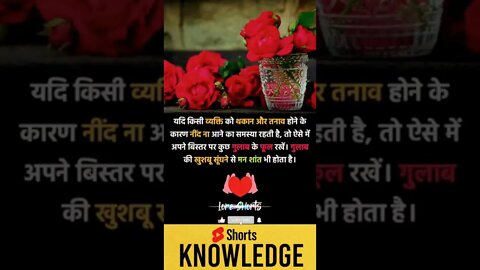 Motivational Quotes Intresting Facts lifestyle & research #shorts #ytshorts #knowledge #motivation