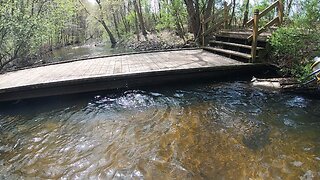 Rainbow trout catch & release