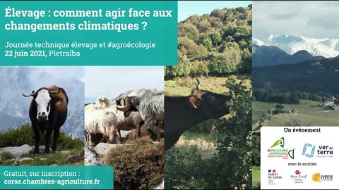 Journée technique sur les pratiques agroécologiques en élevage (Chambre d’Agriculture de Corse)