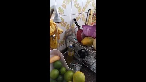 29 Cirurgia bariátrica feijão, mandioquinha, limão, laranja limpeza