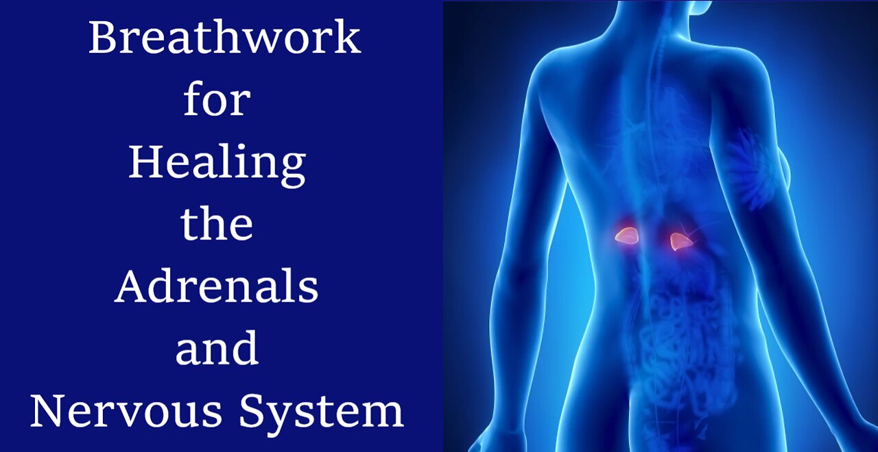 Breathwork, Healing the Adrenals and Nervous System