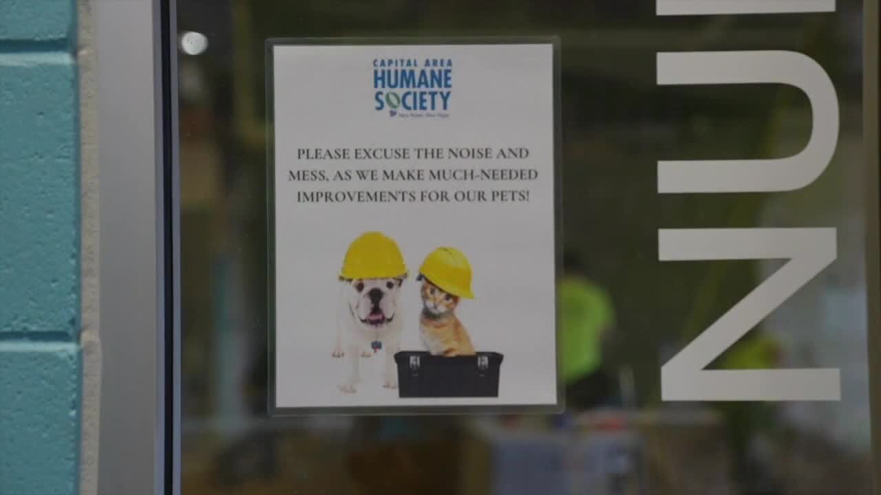 CAHS will temporarily close for construction of new dog and puppy adoption area