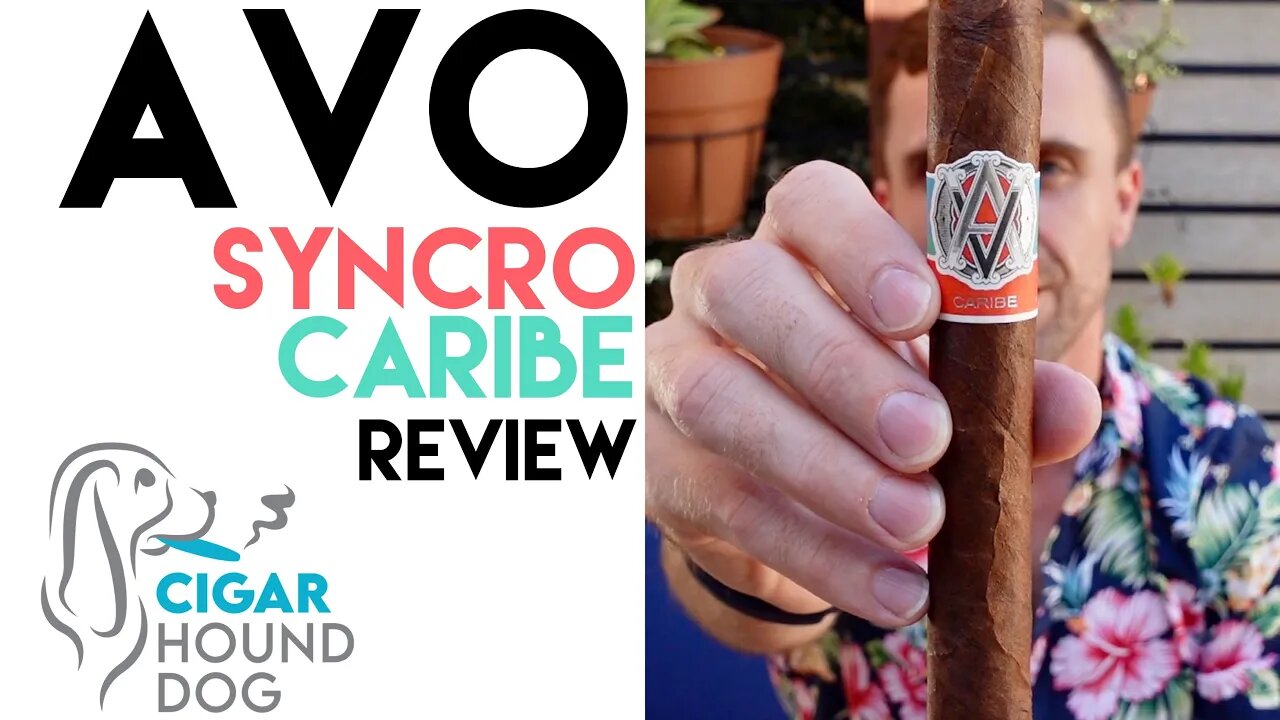 Avo Syncro Caribe Cigar Review