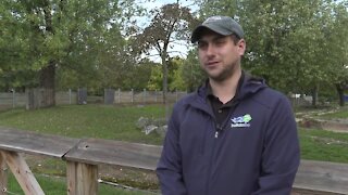 One last weekend of Halloween fun at the Buffalo Zoo