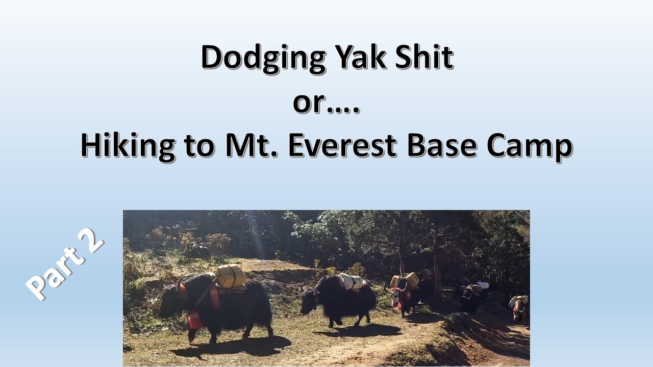 Dodging Yak shit... or hiking to Everest Base Camp Part 2