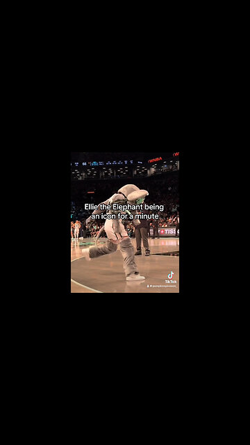 Ellie the Elephant being an icon for a minute