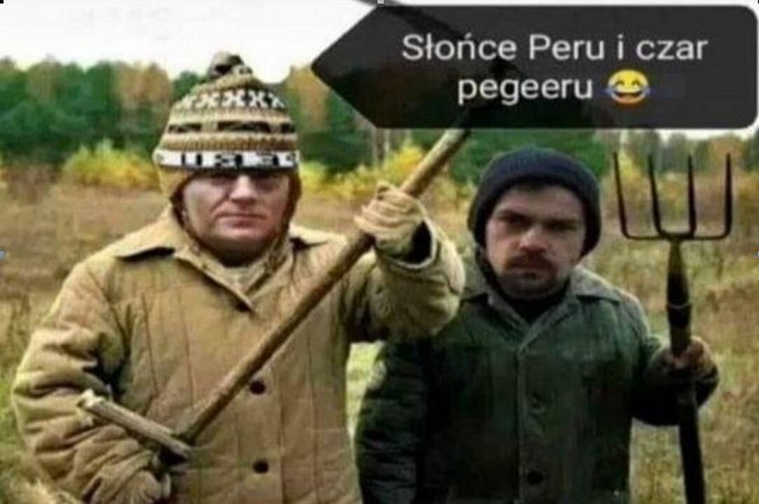 PAŃSTEWKO NA LINIE