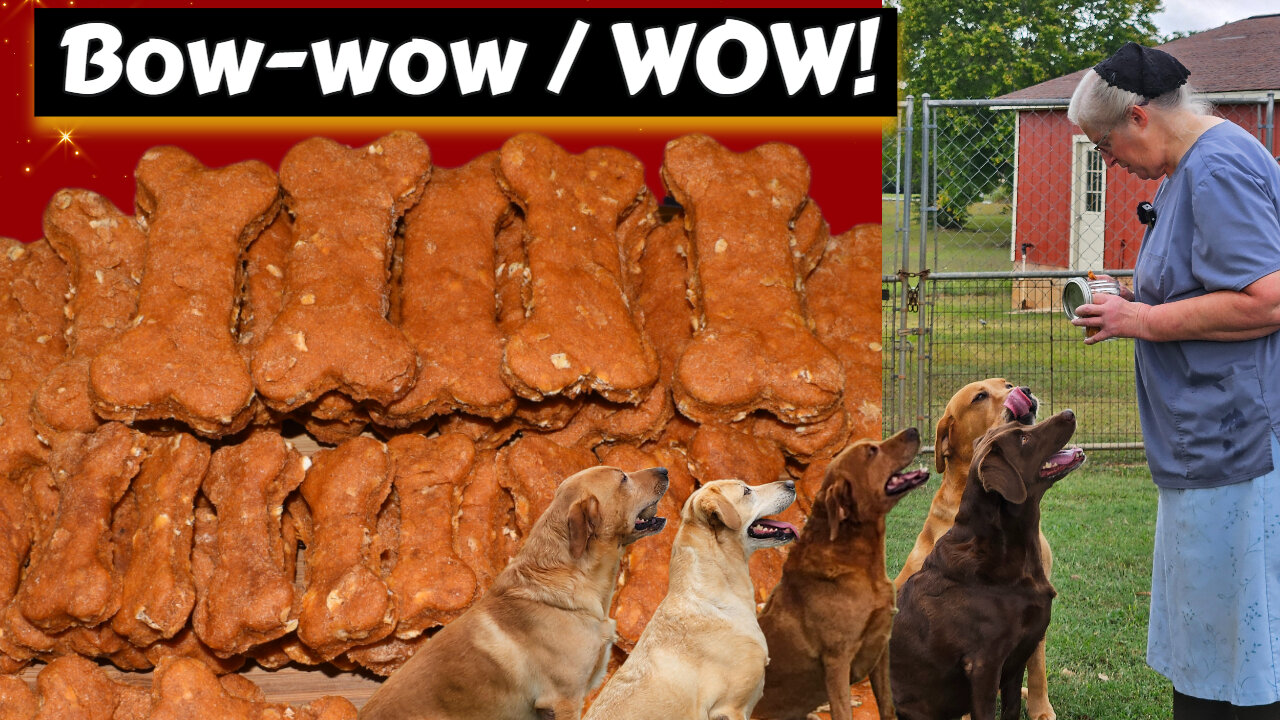 Home Baked Bark-B-Q Bone Treats: Approved by Our Labs, Inspirational Thought