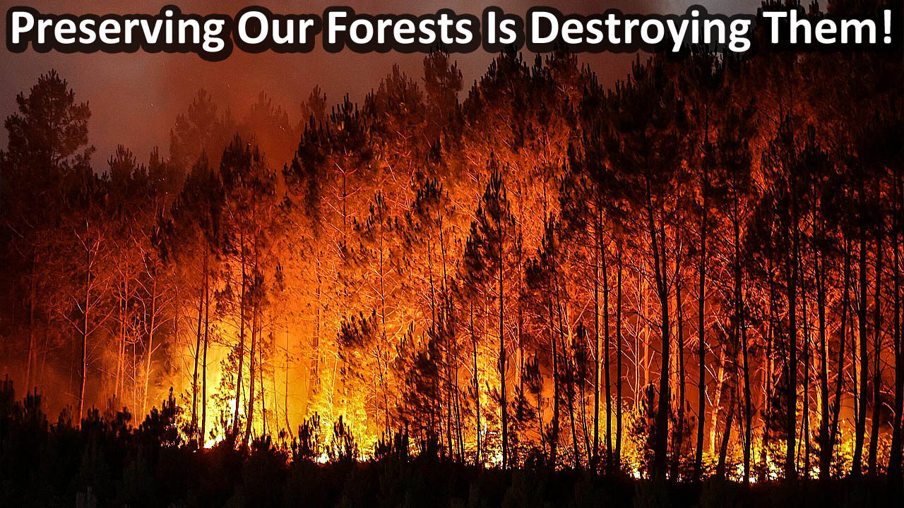 Preserving Our Forests Is Destroying Them! 🔒🌲🟰🔥