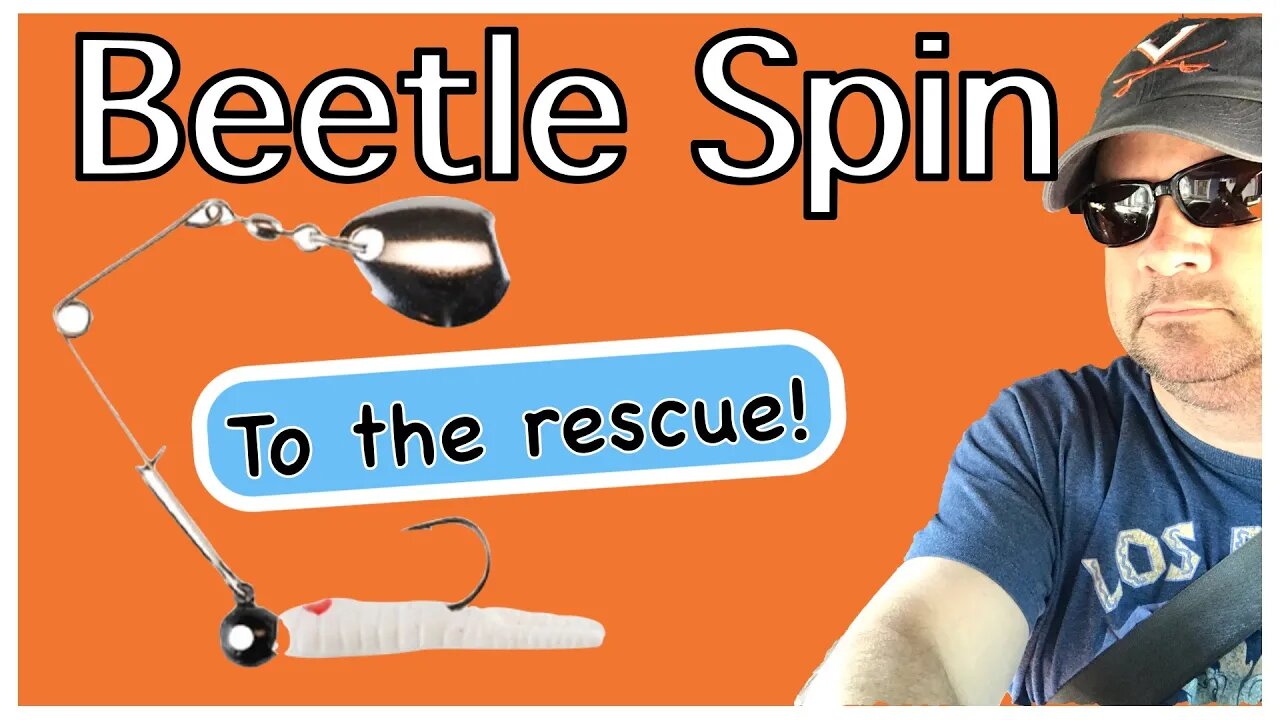 Beetle Spin is still awesome! Catching fish in the winter.