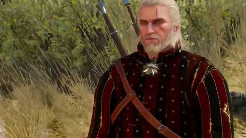 Witcher 3