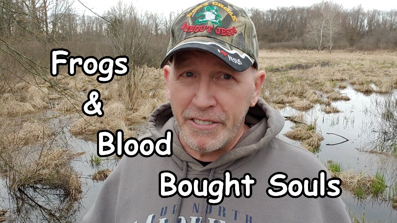 Frogs & Blood Bought Souls: Leviticus 17