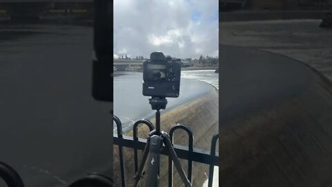 Photography on the Mississippi