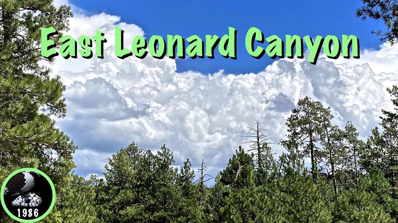 Hiking East Leonard Canyon, Mogollon Rim