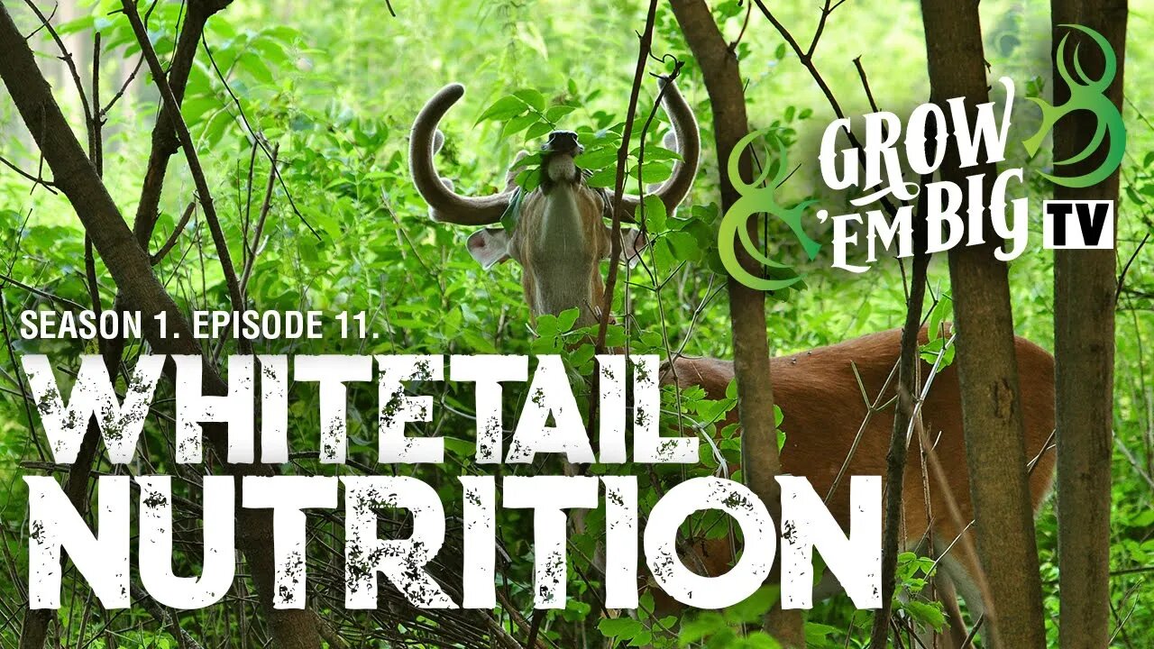 Whitetail Nutrition | Grow 'em Big TV