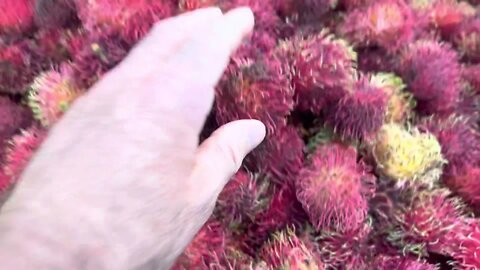 Saw these fruits and was like WTF????