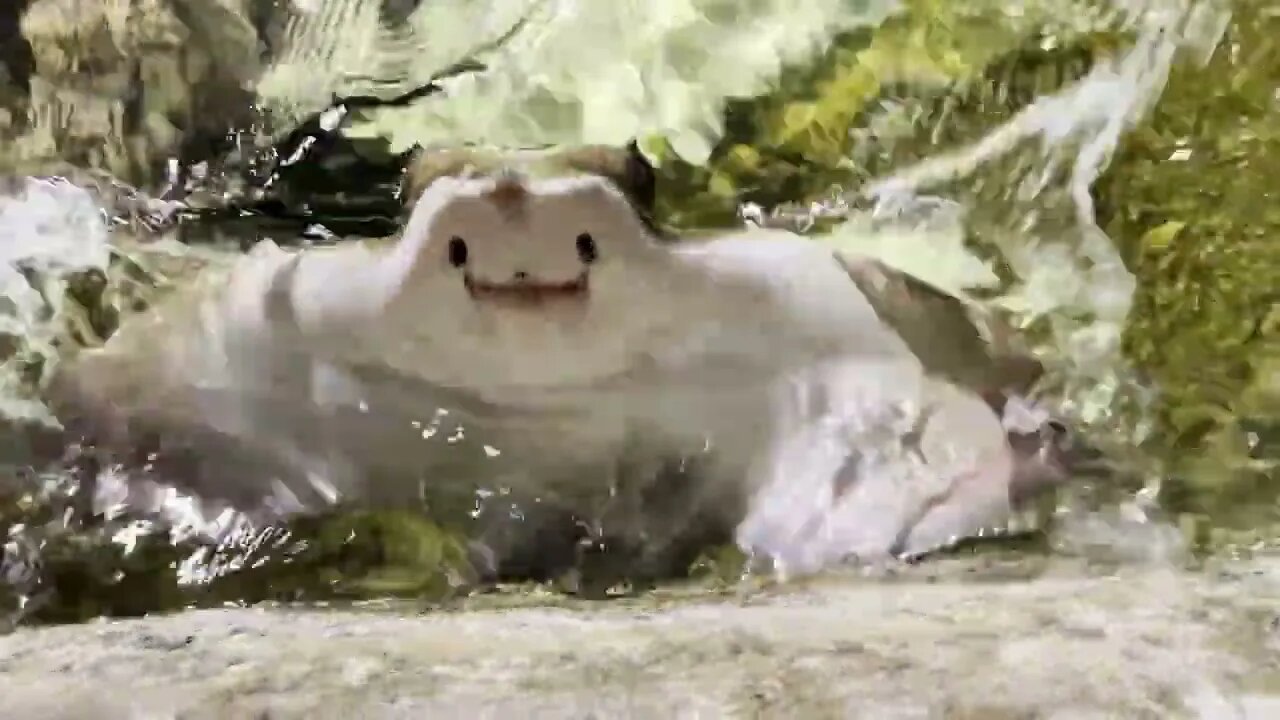 Stingray Fish In A Pool Swim To Surface