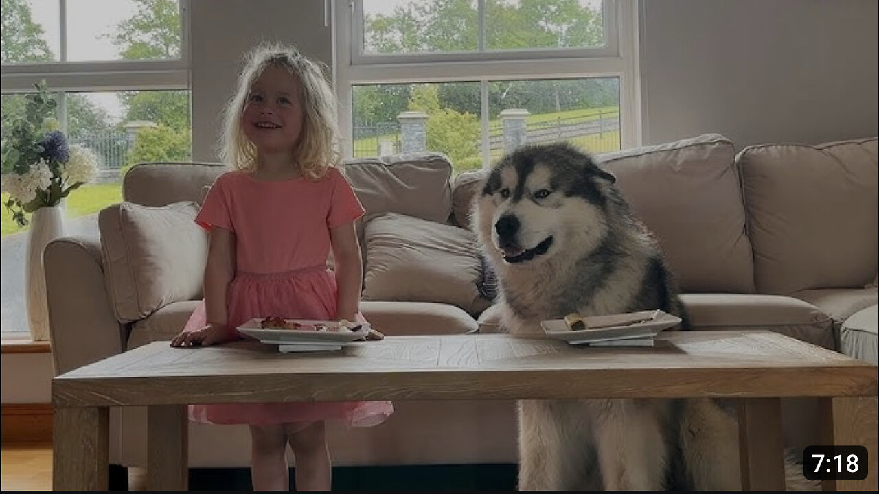 Adorable Little Girl And Her Dog Caught On Hidden Camera! (Cutest Ever!!)