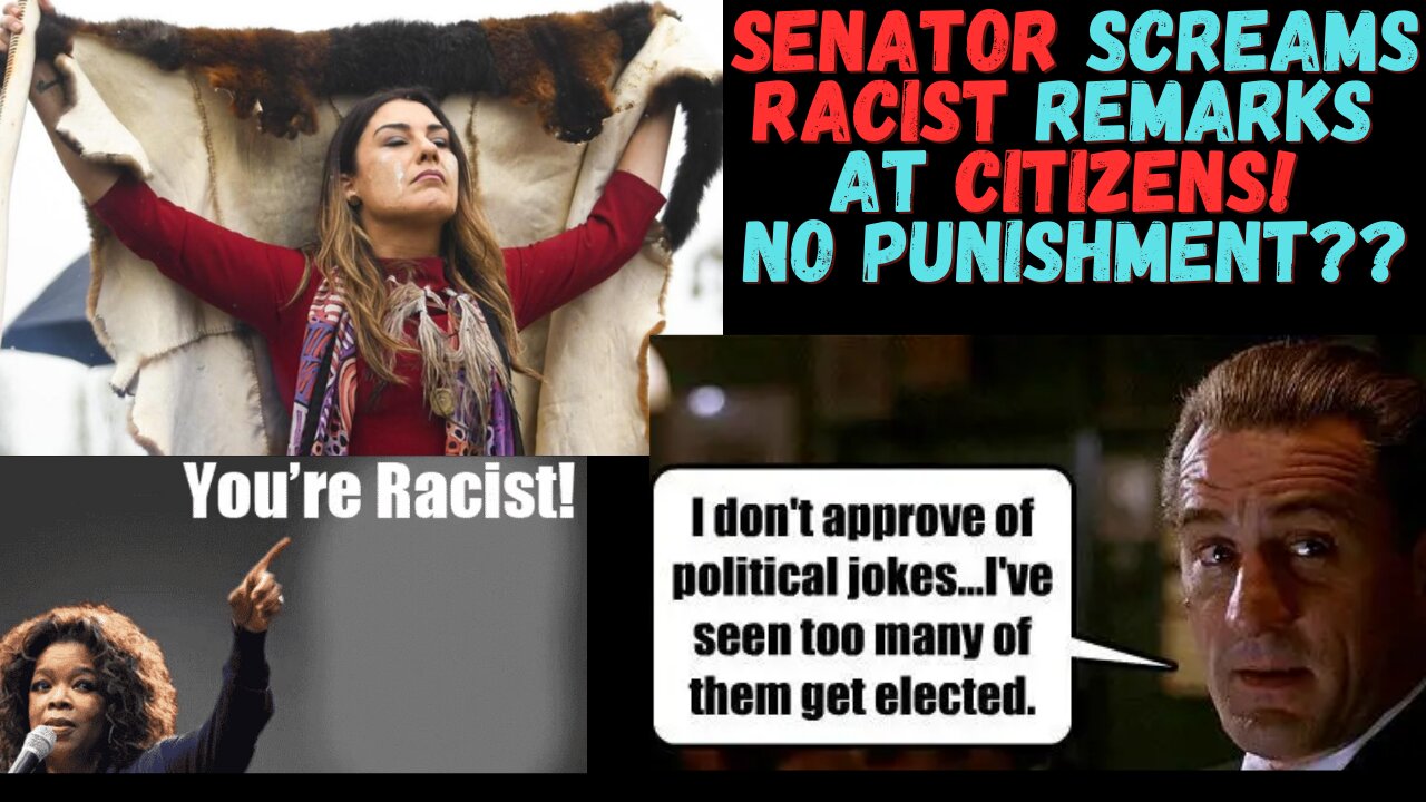 Sitting Senator Screams Racist Remarks at Citizens & no Punishment??