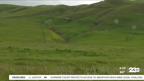 Earth day celebration at Wind Wolves Preserve