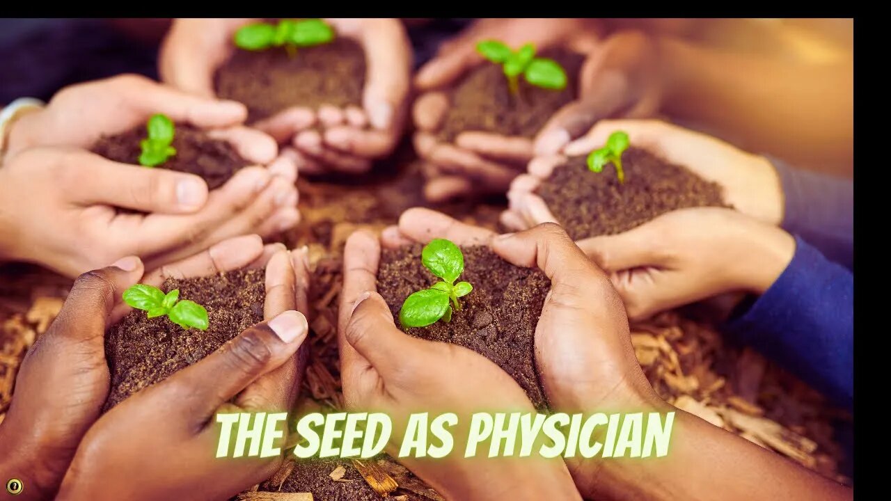 The Seed As Physician - Advice from Anastasia P1 #shorts#spirituality