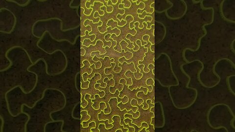 Impossible Puzzle Complete! #puzzle #impossible #satisfying #shorts #puzzletime